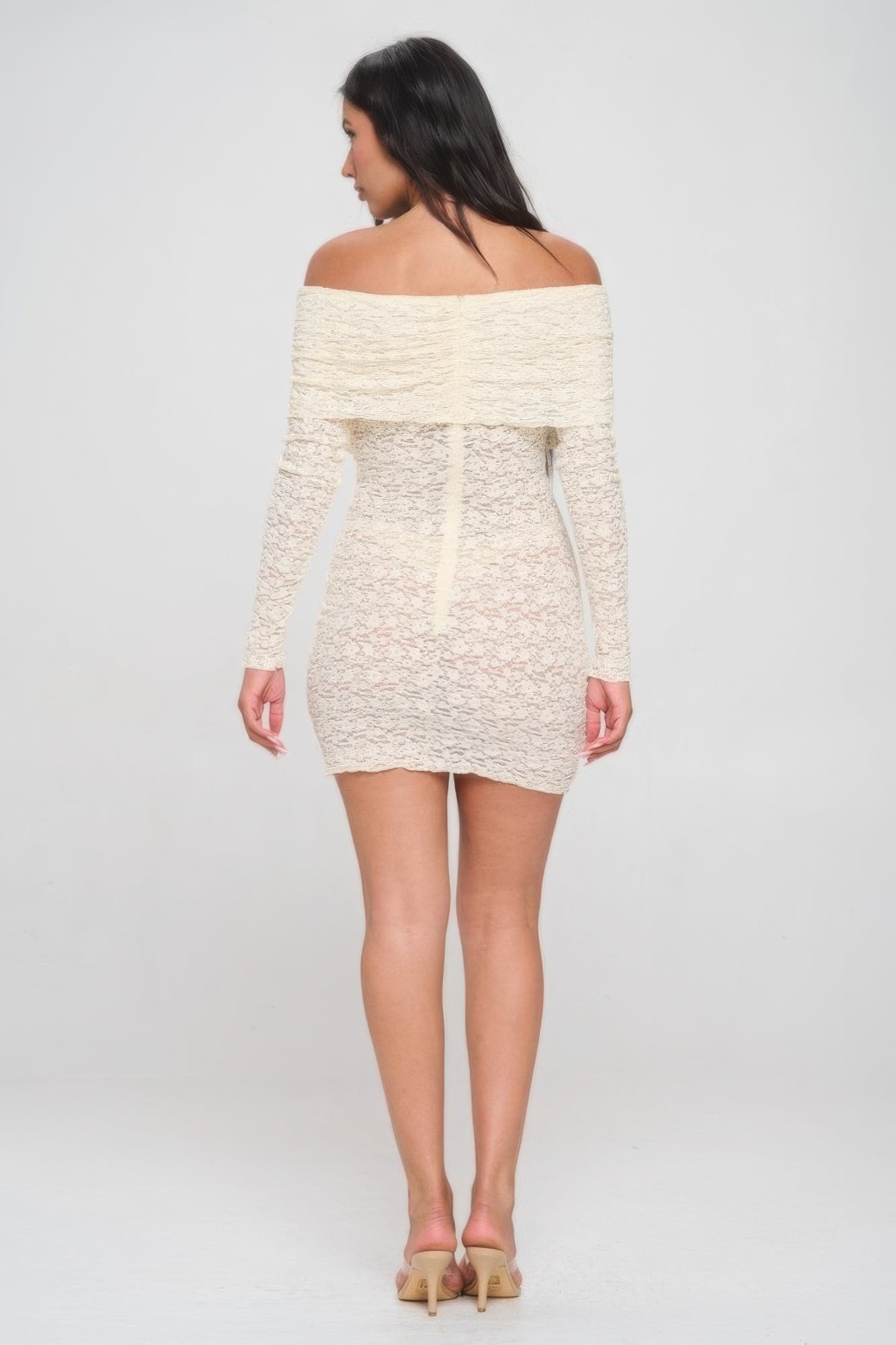 Off Shoulder Lace Sheer Mini Dress